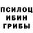Галлюциногенные грибы прущие грибы SashaGoogle