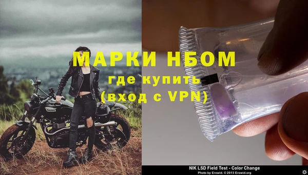 ECSTASY Сафоново