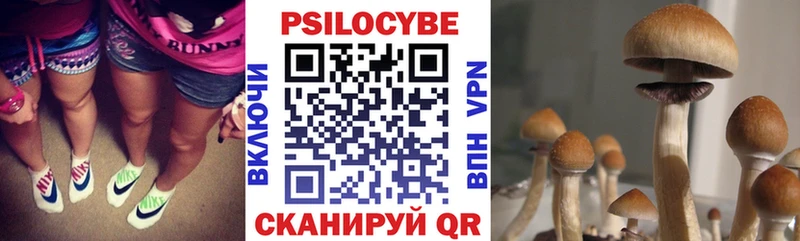 где продают   кракен как войти  Псилоцибиновые грибы GOLDEN TEACHER  Разумное 