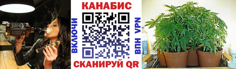 где купить наркоту  Разумное  Конопля White Widow 